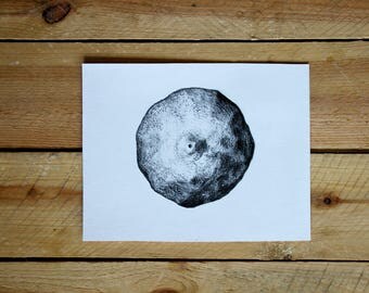 Original drawing "Lemon" / from the series kind of fruity / graphite