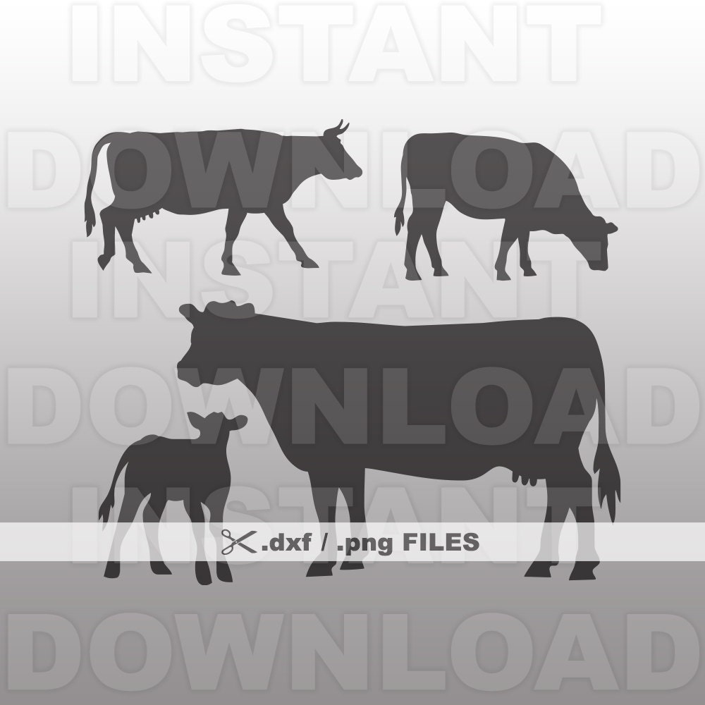 Cows DXF FileBull DXF FileHeifer DXF Commercial & Personal