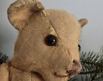 Antique bear, English Teddy Bear, old bear, mohair bear