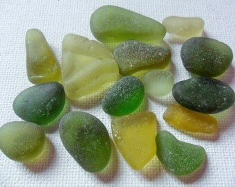 Lime green shades sea glass mix - 15 frosted shards found in England
