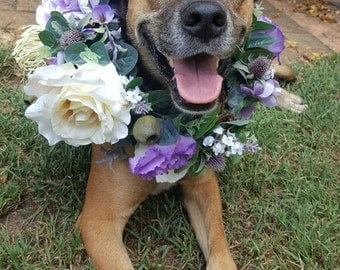 Dog Puppy flower crown. Dog Puppy flower collar. Flower garland for dogs. Roses and Australian native flowers and foliage.