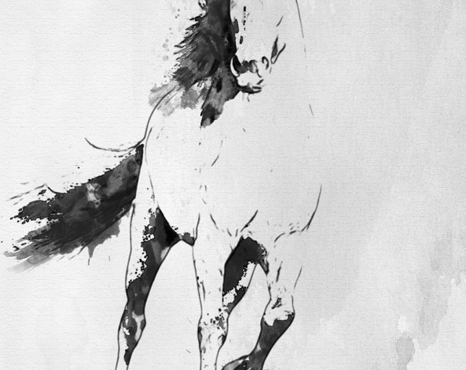 Wild Running Horse 2. Extra Large Contemporary Horse Black and White Canvas Original Oil/Acrylic Art. Horse BW Original Art by Irena Orlov