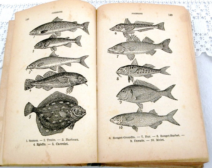 Antique French Cookbook from 1935 " Le Veritable Cuisine de Famille par Tante Marie" 1000 Recipes and 500 Menus, Written in French, France,