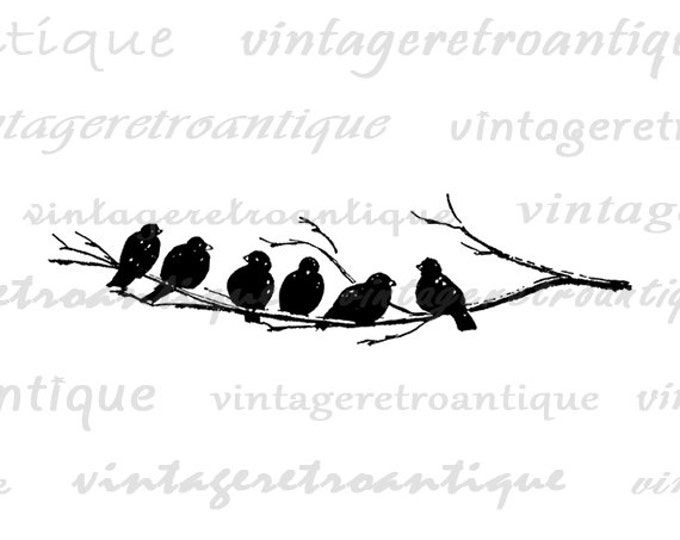 Printable Bird Art Digital Image Birds on Tree Branch Graphic Bird Artwork Digital Download Antique Clip Art Jpg Png Eps HQ 300dpi No.3698