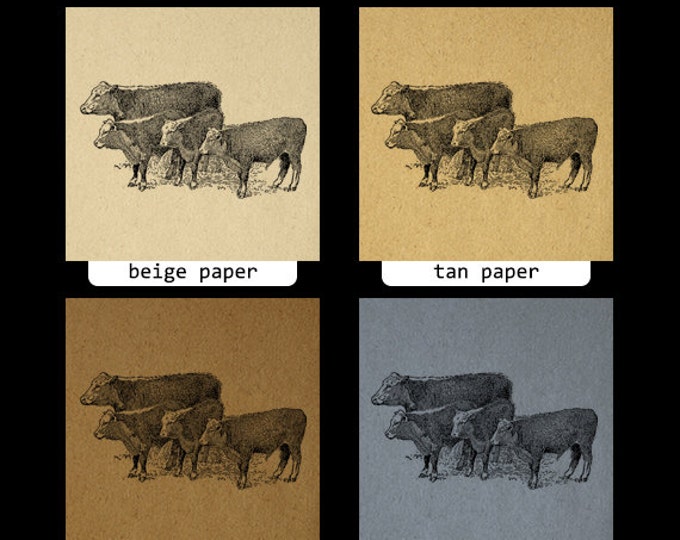 Printable Image Cows Antique Graphic Farm Animal Digital Download Vintage Clip Art Jpg Png Eps HQ 300dpi No.3588