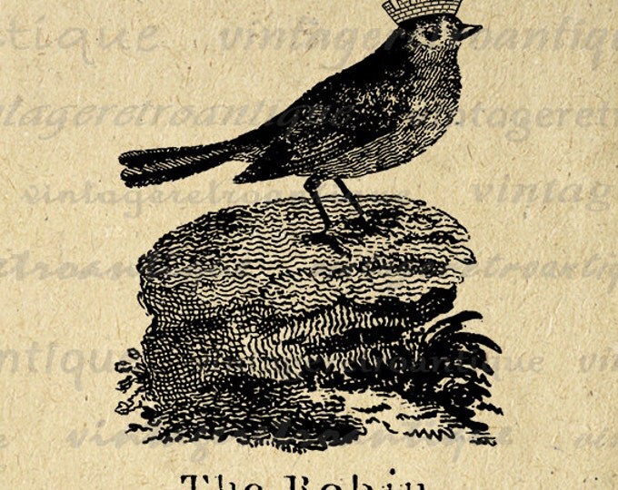 Robin with Crown Digital Graphic Image Bird Illustration Printable Download Vintage Clip Art Jpg Png Eps HQ 300dpi No.1017