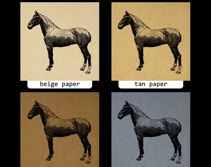 Printable Digital Hackney Mare Horse Image Illustration Download Graphic Vintage Clip Art Jpg Png Eps HQ 300dpi No.3145