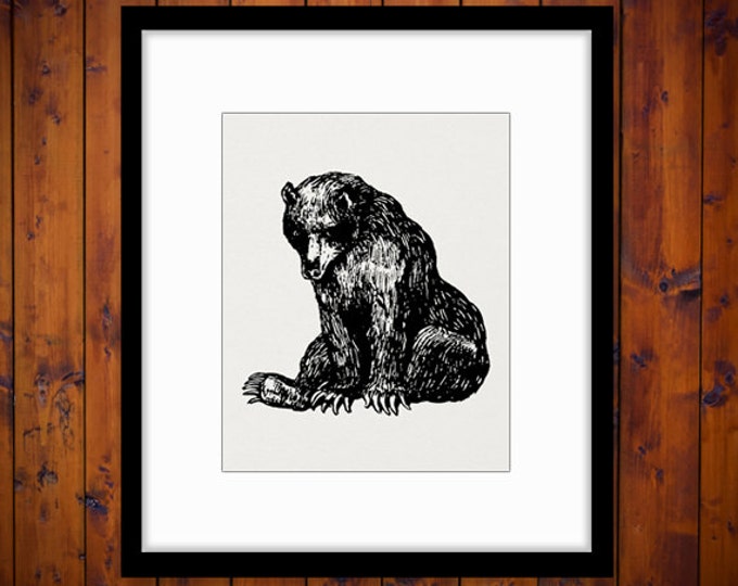 Digital Image Bear Graphic Illustration Printable Download Vintage Clip Art Jpg Png Eps HQ 300dpi No.3198