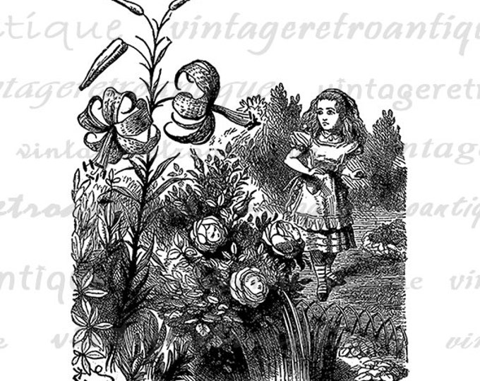 Printable Image Alice in Wonderland Download Garden of Live Flowers Digital Graphic Vintage Clip Art Jpg Png Eps HQ 300dpi No.221