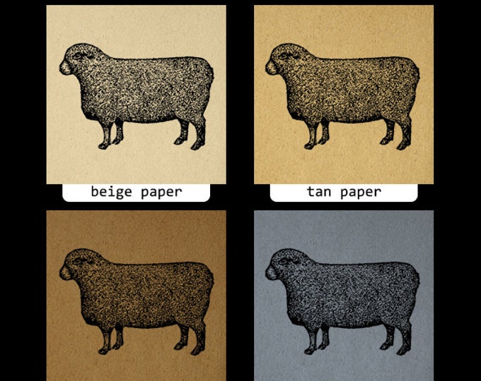 Sheep Digital Image Graphic Farm Animal Download Illustration Printable Vintage Clip Art Jpg Png Eps HQ 300dpi No.1214