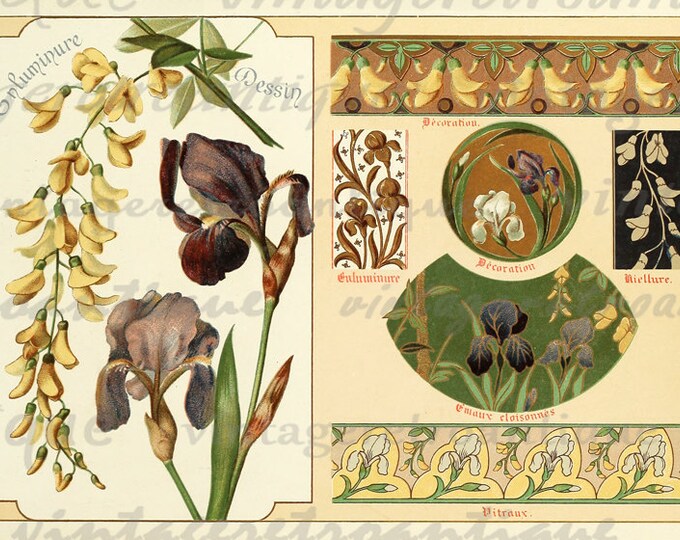 Printable Flowers Collage Sheet Digital Download Fancy Design Elements Image Graphic Antique Clip Art HQ 300dpi No.365