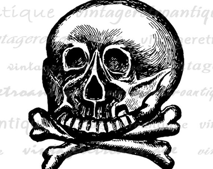 Skull and Crossbones Digital Graphic Download Image Printable Artwork Jpg Png Eps HQ 300dpi No.2254