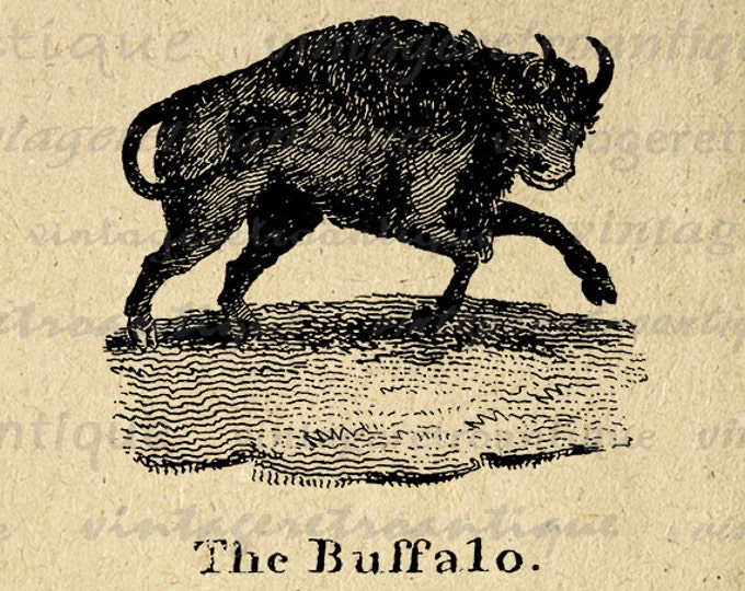 Digital Printable Buffalo Antique Illustration Download Graphic Image Vintage Clip Art for Transfers Printing etc HQ 300dpi No.854