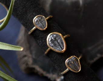 Trilobite Ring - Genuine Fossil and Brass