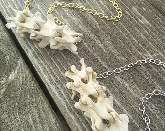 Bone Necklace - Real animal Bone jewelry - Ladies Vertebrae Necklace - Spine Jewelry - Shamans necklace - Wiccan Pagan Tribal Necklace