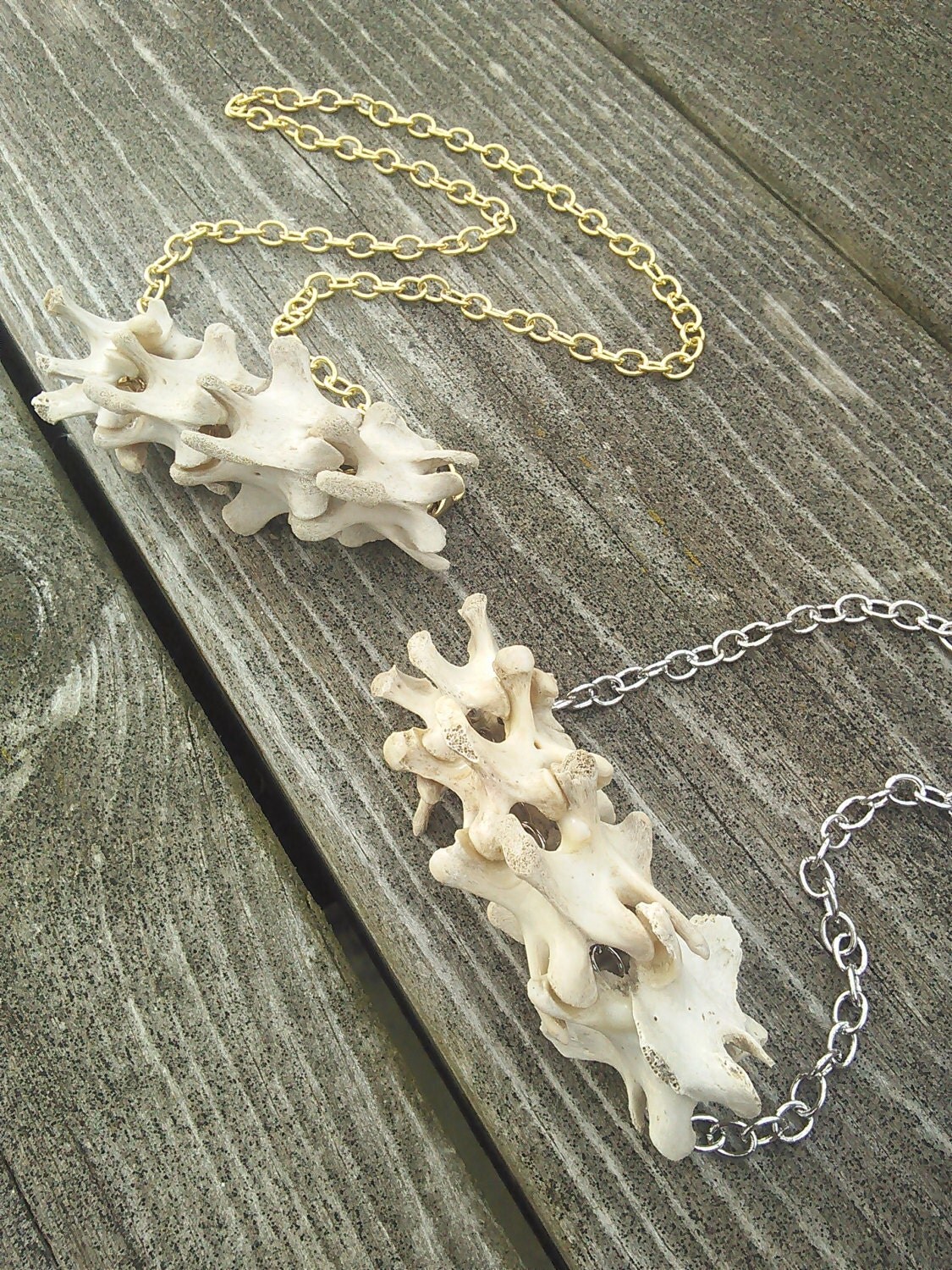 Bone Necklace Real animal Bone jewelry Ladies Vertebrae