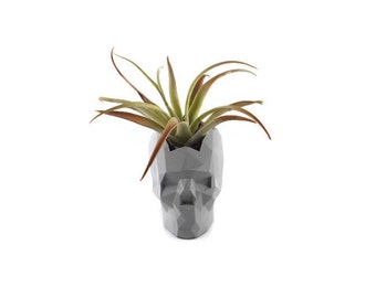 Skull Planter / Skull Plant Pot / Low Poly Skull Planter / 3d Printed Skull Planter / Low Poly Skull / 3d Printed Low Poly Skull Planter