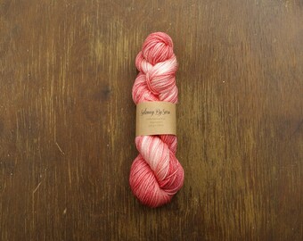 Ungdom / Hand dyed yarn / aran weight / superwashed merino / 100 grams