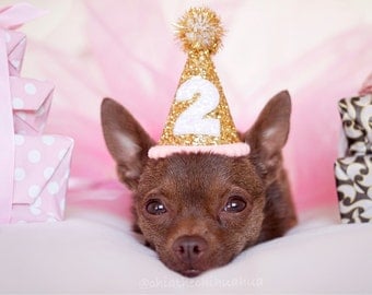 Dog Birthday Hat || Dog Party Hat || Dog Birthday Party Outfit || Animal Birthday Hat || Pet Birthday Hat || Dog Clothes