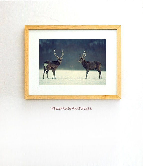Impression de chevreuil cerf fine art par plusphotoartprints Chevreuil Literie décor