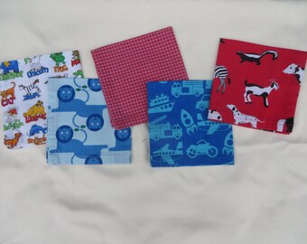 Set of 5 Lunchbox Napkins