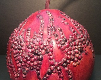 Uncommon beauty