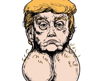 Donald the Dicktator: Vinyl Anti-Trump Sticker