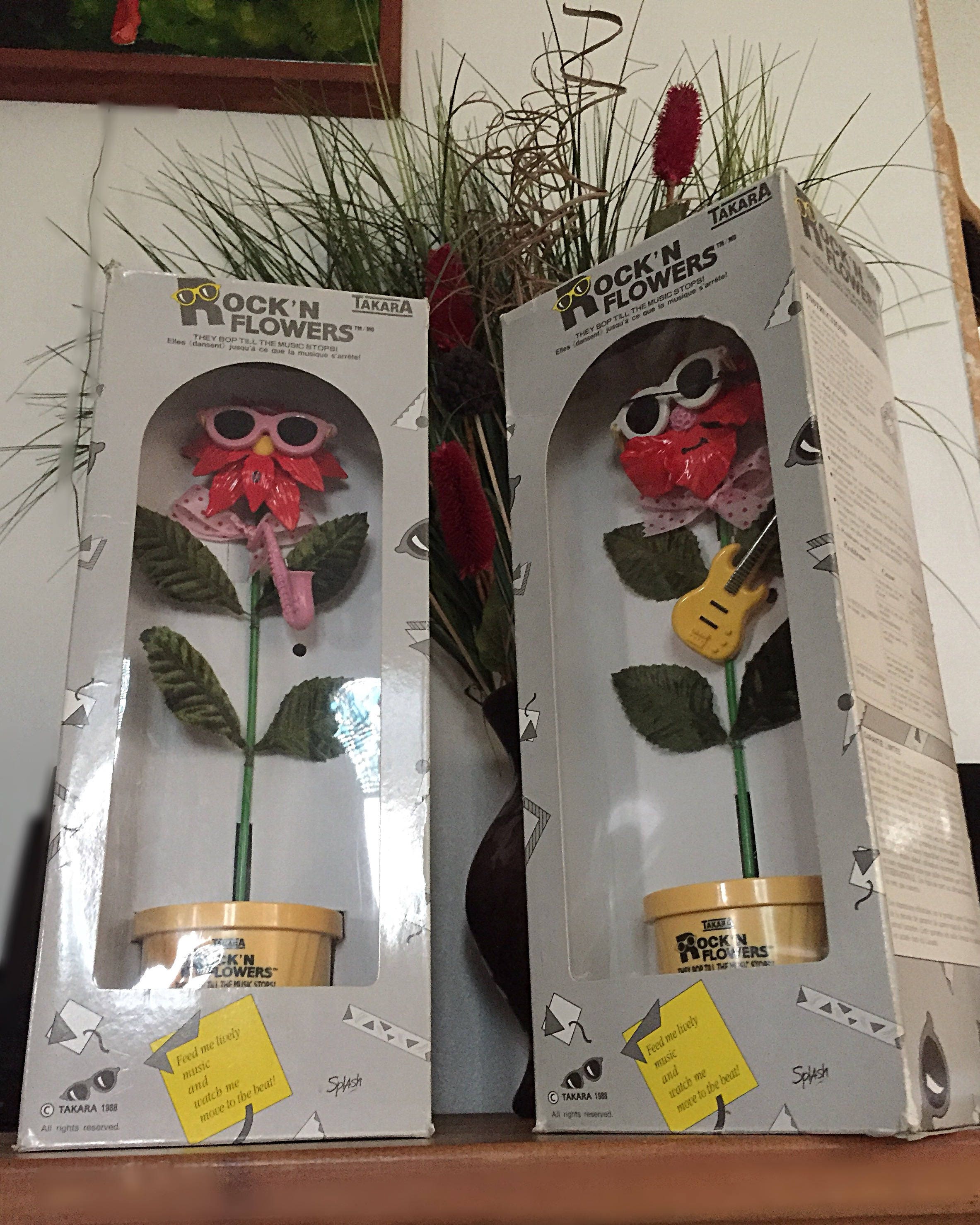 Vintage/Retro Rock'N Flowers™ © Takara 1988 Dancing