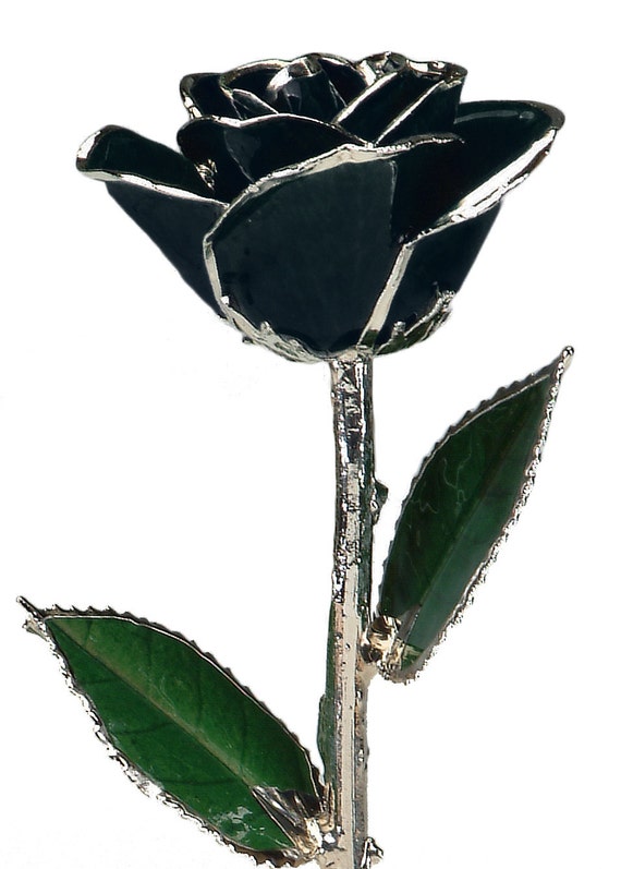 Black Platinum Rose Real Rose Dipped in Platinum by Living