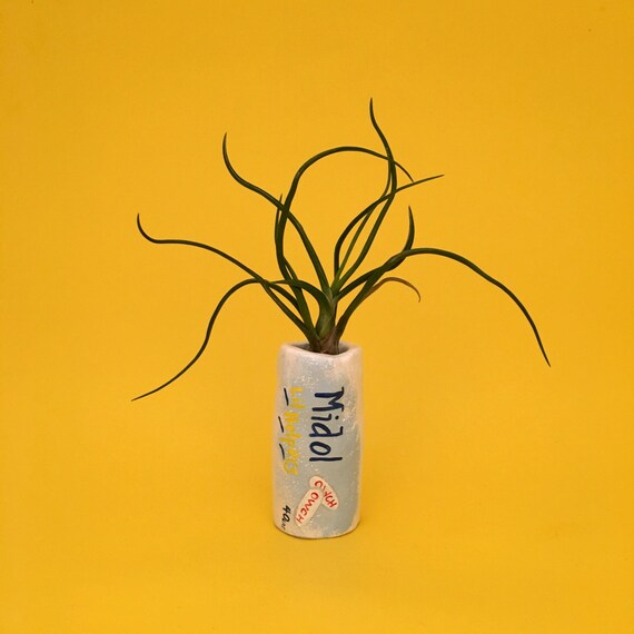 MIDOL PLANTER