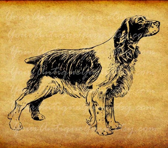 vintage dog clip art - photo #41