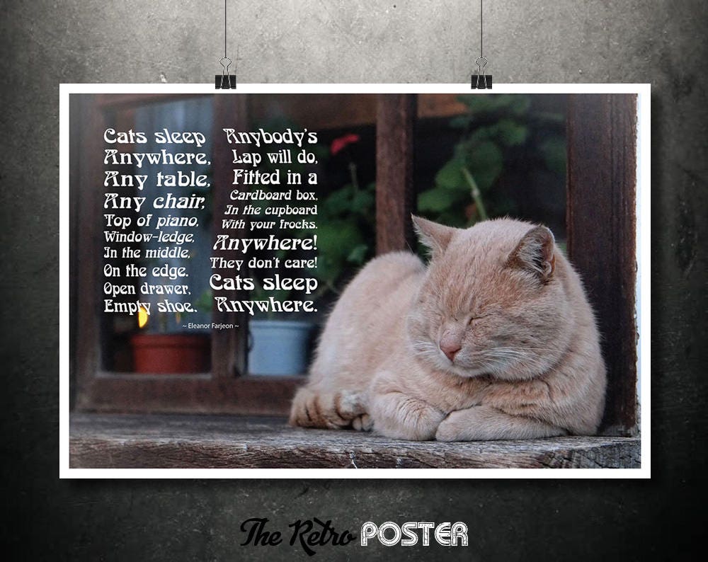 Cats Sleep Anywhere Eleanor Farjeon Cat Lover Gift Cats