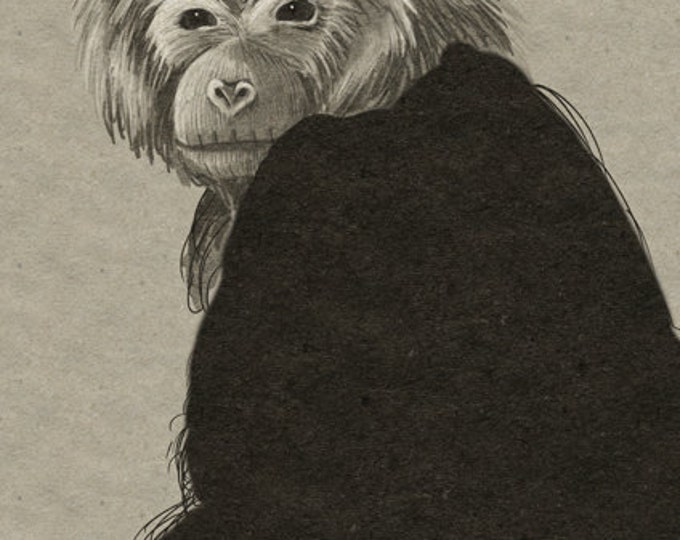 Monkey - printable digital illustration