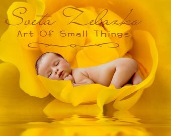 Flower digital backdrop, newborn flower backdrop, newborn digital prop, flower digital background, newborn flower prop, rose backdrop
