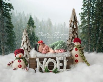 Newborn Digital Backdrop, Christmas Backdrop , DIGITAL BACKDROP/BACKGROUND
