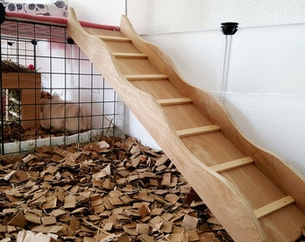 Guinea pig ramp, Rabbit ramp, Guinea pig ladder, Rabbit ladder, small animals, Stairs, Guinea pig, Rabbit,