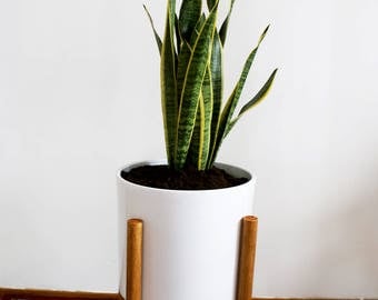 Retro mid century plant stand framework