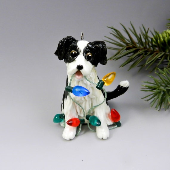 33+ Blue Merle Border Collie Ornaments Image - Bleumoonproductions