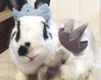 bunny crown/ guinea pig costume/ crown for pet rabbit/ pet rabbit accessories/ pet costume/ costume for rabbit/ bunny lover gift