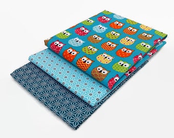 Blue Aqua Teal or Brown and Pink or Black and Green Owl Phone Case with Wristlet and Owl Charm Pen Holder Teacher Nurse