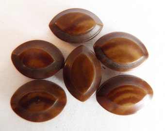 Vegetable Ivory Buttons Brown Tones
