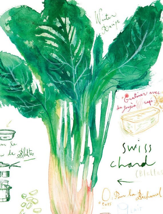 Escape Bathrooms Chard swiss chard recipe print green kitchen decor watercolor Escape Bathrooms Chard swiss chard recipe print green kitchen decor watercolor