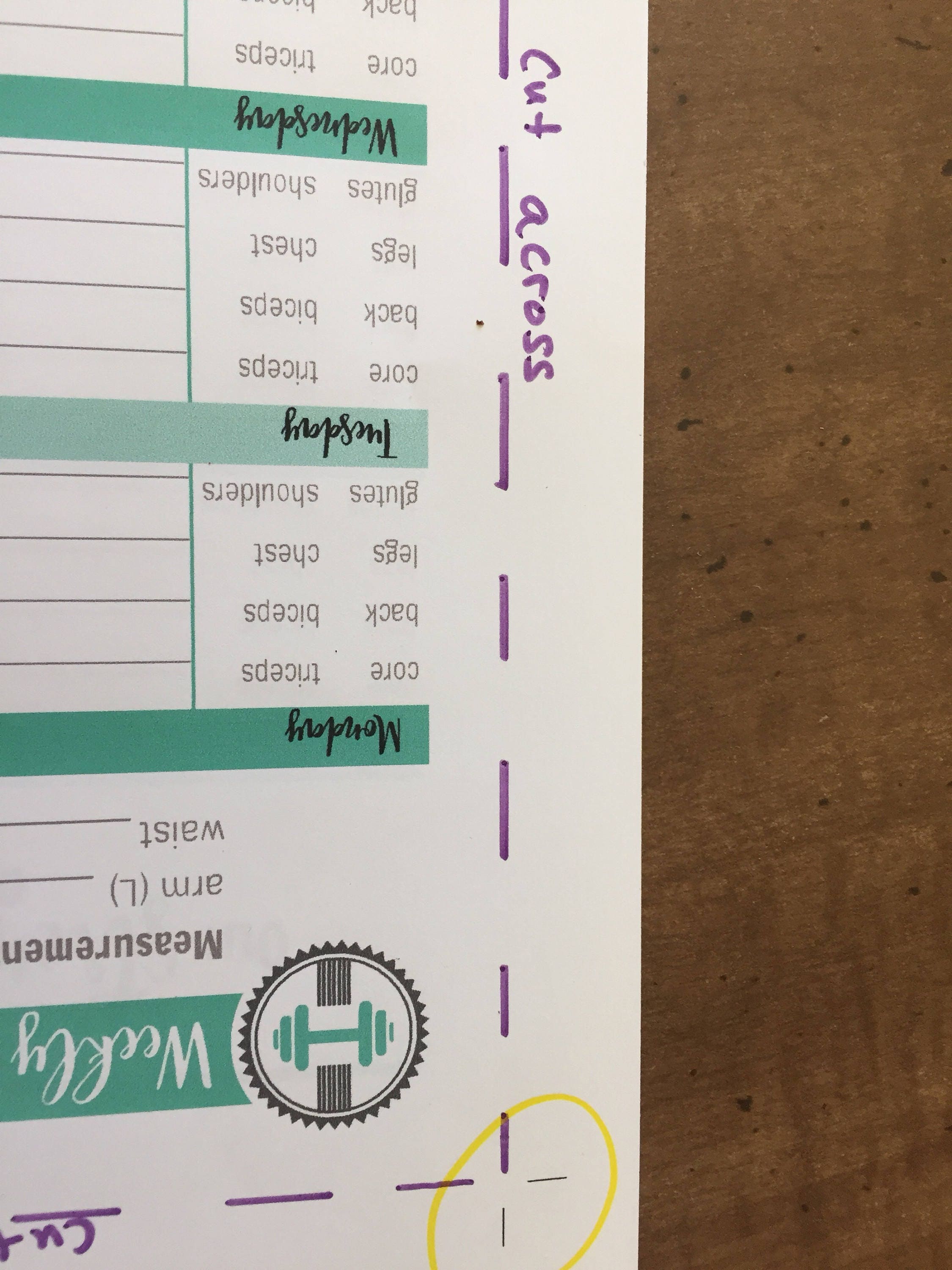 52 Wk Happy Planner FITNESS PLANNER Printable workout insert