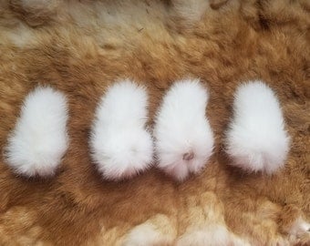 Fluffy bunny tail | Etsy