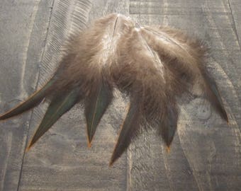 6 Small Green Bronze Rooster Saddle Feathers ~ Cruelty Free
