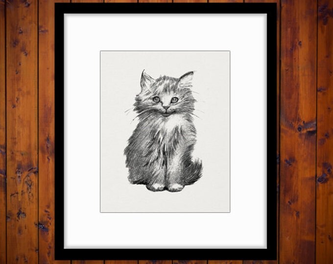 Printable Digital Cute Kitten Graphic Cat Image Illustration Download Antique Clip Art Jpg Png Eps HQ 300dpi No.1859