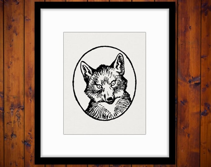 Printable Fox Portrait Graphic Digital Antique Illustration Image Animal Download Vintage Clip Art Jpg Png Eps HQ 300dpi No.862