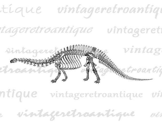 Digital Dinosaur Skeleton Brontosaurus Image Graphic Printable Download Antique Clip Art Jpg Png Eps HQ 300dpi No.2089