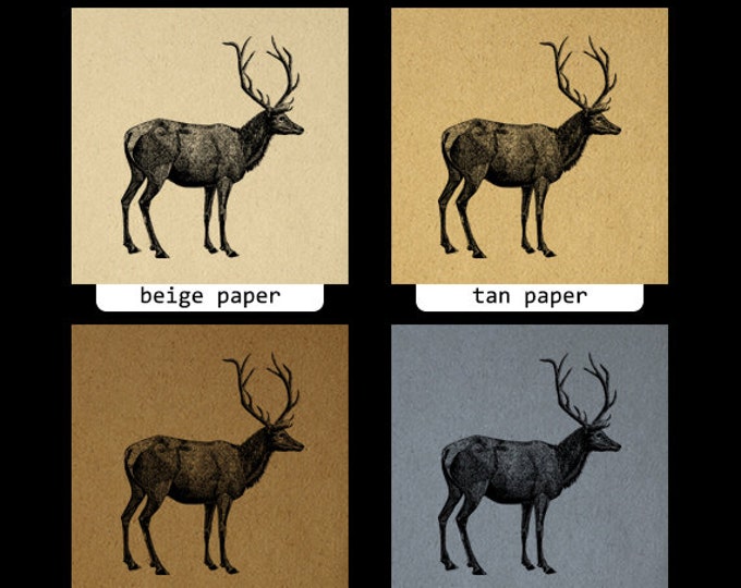 Digital Image Elk Deer Animal Printable Download Graphic Artwork Antique Clip Art Jpg Png Eps HQ 300dpi No.2134