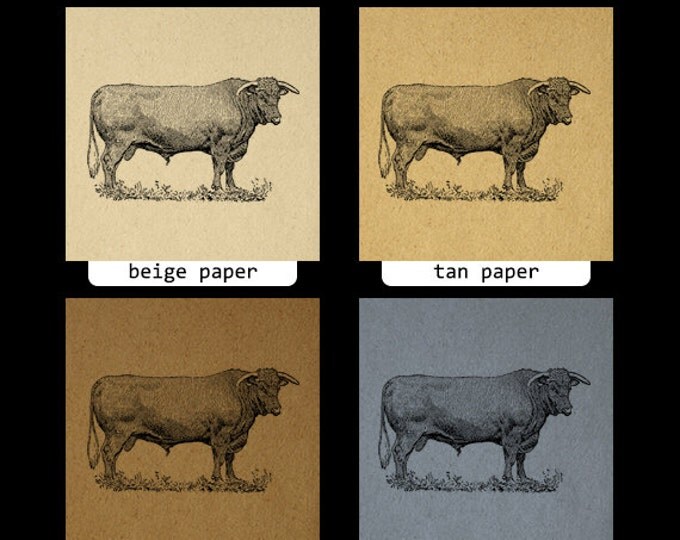 Digital Bull Printable Image Farm Animal Download Cow Graphic Vintage Clip Art Jpg Png Eps HQ 300dpi No.3153